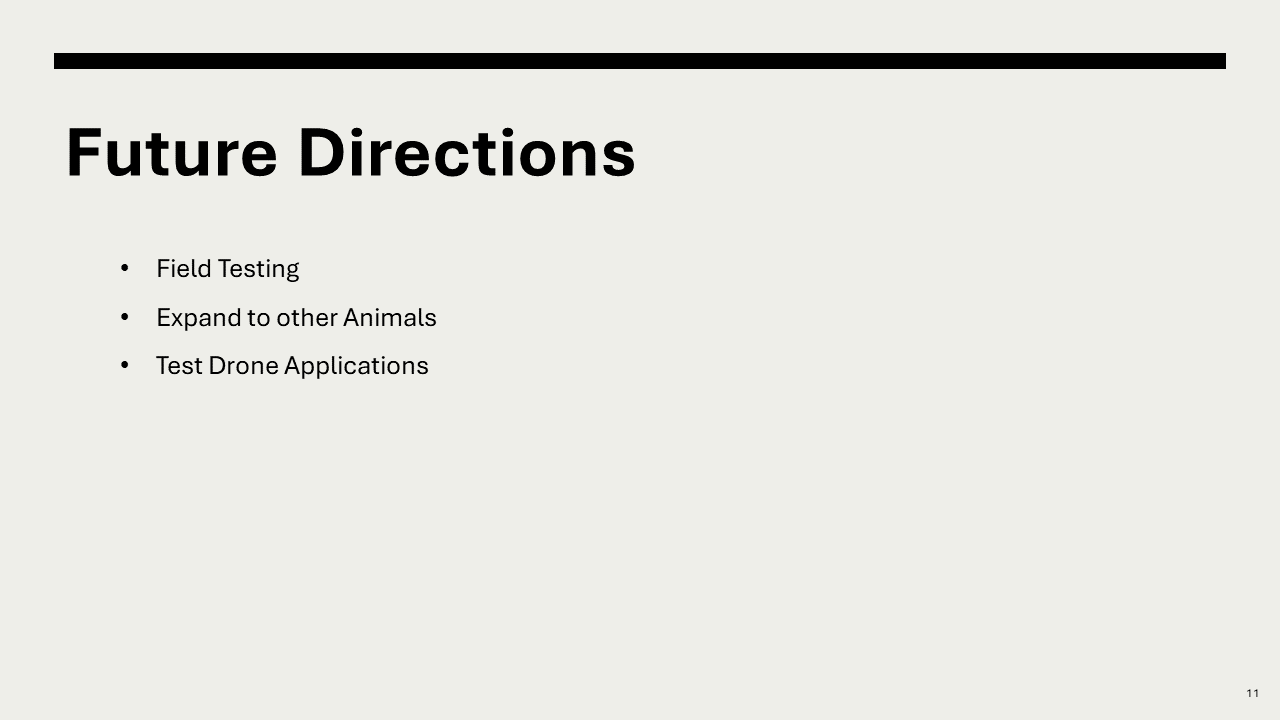 Eleventh slide