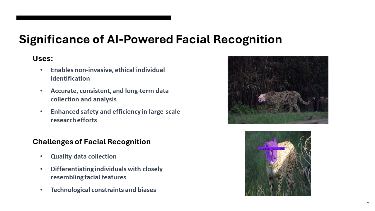 Second slide