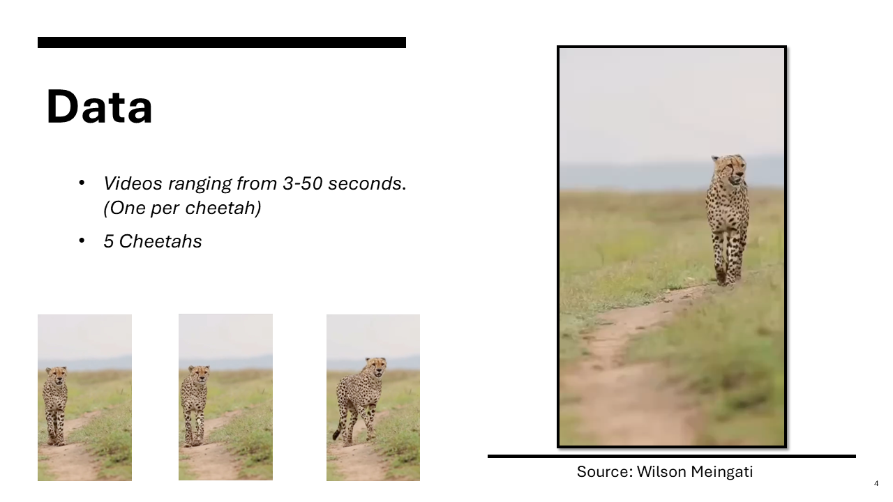 Fourth slide