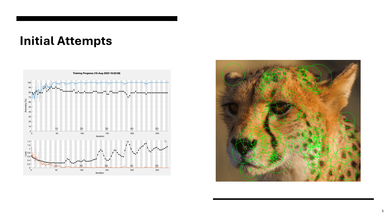 Fifth slide