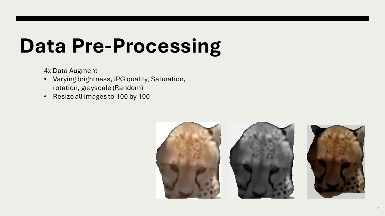 Seventh slide
