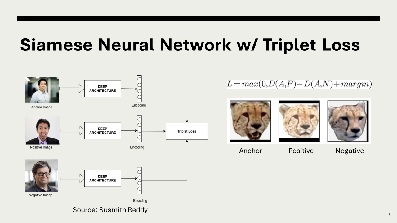 Eighth slide