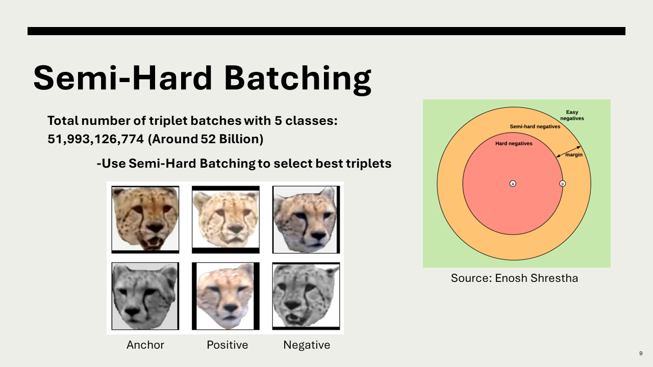 Ninth slide